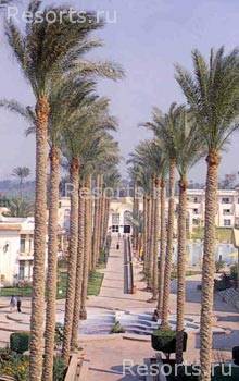 Cataract Pyramids Resort 6